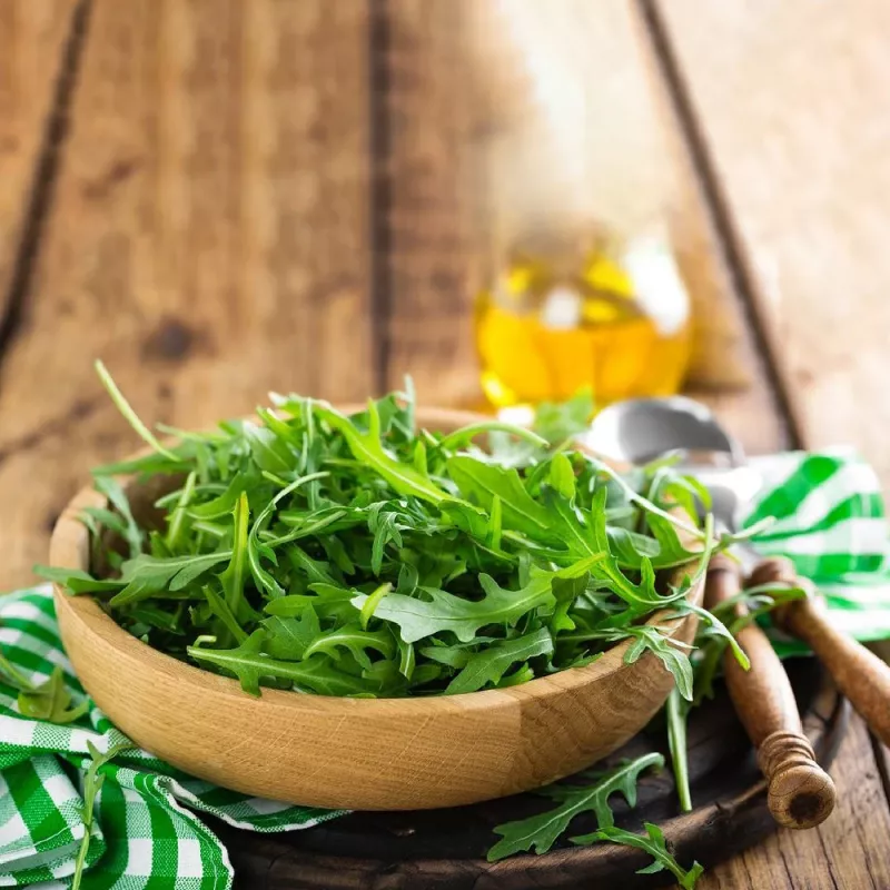 PNOS rúcula Eruca sativa sementes em fita, 6 m