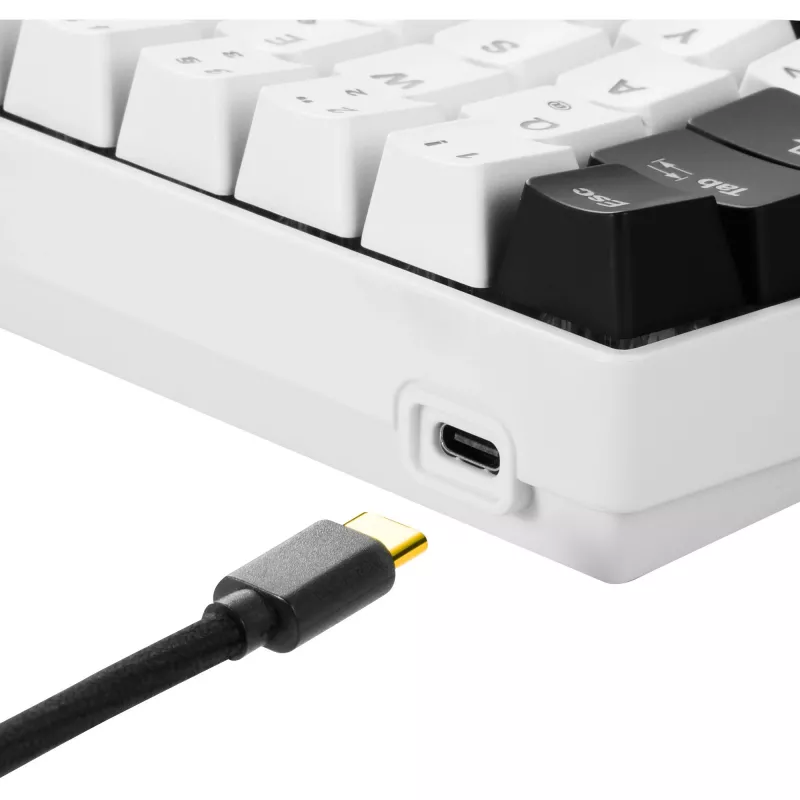 Sharkoon SKILLER SGK50 S4 - Teclado - retroiluminação