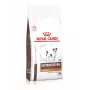 Alimento seco para cães Royal Canin Gastrointestinal Low Fat Small — 1,5 kg, fórmula com baixo teor de gordura para cães adultos de raça pequena