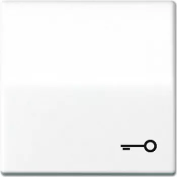 Módulo interruptor de pressão de montagem na parede JUNG AS 591 T WW Branco para controlo elétrico