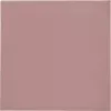 Thermal Grizzly Minus Pad 8 - 100 x 100 x 1,0 mm, 2 unidades