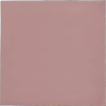 Thermal Grizzly Minus Pad 8 - 100 x 100 x 1,0 mm, 2 unidades