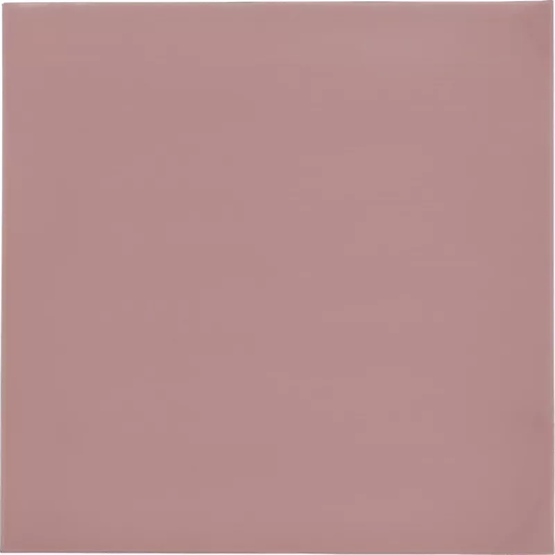 Thermal Grizzly Minus Pad 8 - 100 x 100 x 1,0 mm, 2 unidades