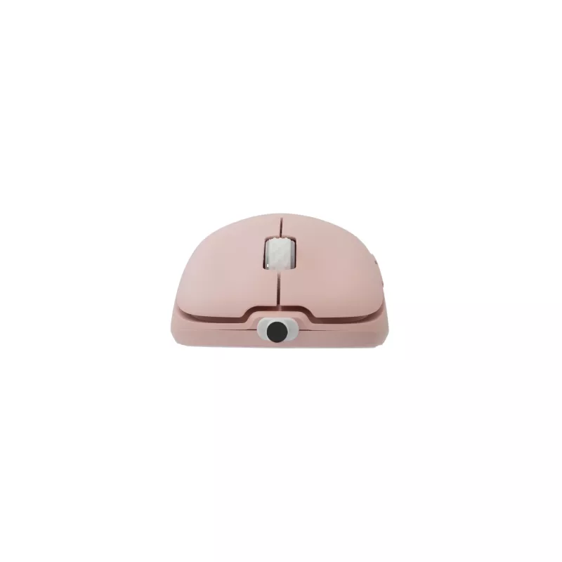 Rato White Shark GM-5014 Graphene Pink USB