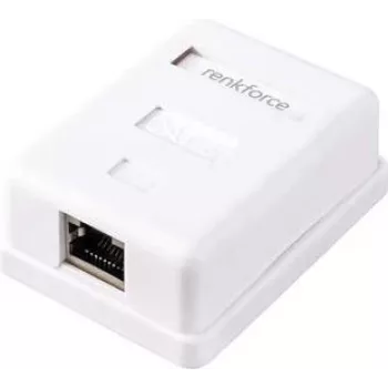 Renkforce Adaptador de rede de superfície CAT 6 1 porta branco (RF-4541182)