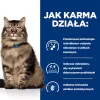 HILL'S PD Gastrointestinal Biome - alimento seco para gatos - 1,5 kg