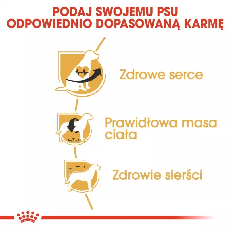 Comida seca para cães Royal Canin Cavalier King Charles Adult 1,5 kg — frango, raça pequena, pele e pelo, apoio cardíaco