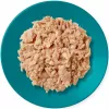 Alimento húmido para gatos Applaws Filete de Atum com Cavala em Gelatina 70 g saqueta