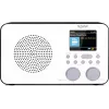 Rádio de internet TECHNISAT VIOLA 2 C IR — sintonizador analógico e digital, DAB+/FM, Wi‑Fi, 3 W, TFT 2,4 polegadas, 3,5 mm, preto/branco