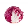 Sementes de hortícolas alface chicória Palla Rossa 3 Toraf, pacote 5g
