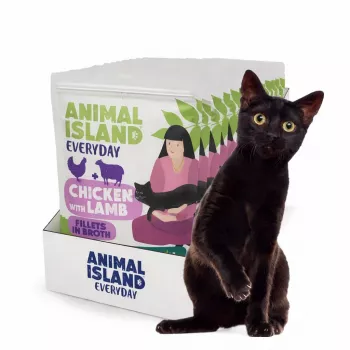 ANIMAL ISLAND frango com filetes de cordeiro em caldo - comida húmida para gatos - 12x85g
