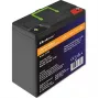 Bateria de lítio-ferro-fosfato LiFePO4 Qoltec 53702 | 12,8V | 24Ah | 307,2Wh | BMS