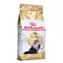 Royal Canin Persian Adult ração seca para gatos, 2 kg