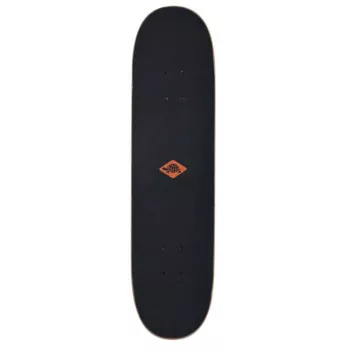 Skateboard Schildkröt Funsports Kicker 31 (classic) madeira de bordo multicolor