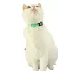 Coleira para gatos ZOLUX CHATOUILLE com pendente em forma de pássaro, verde