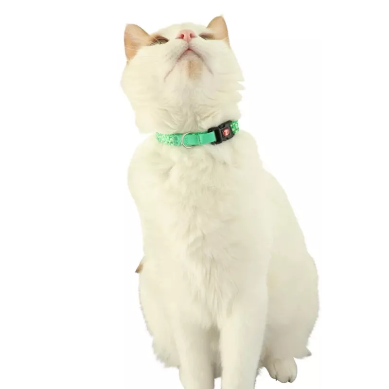 Coleira para gatos ZOLUX CHATOUILLE com pendente em forma de pássaro, verde