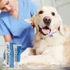 Gel para feridas JM Sante Polisept Vet 30 ml para cães e gatos, bisnaga 30 ml, 50 g