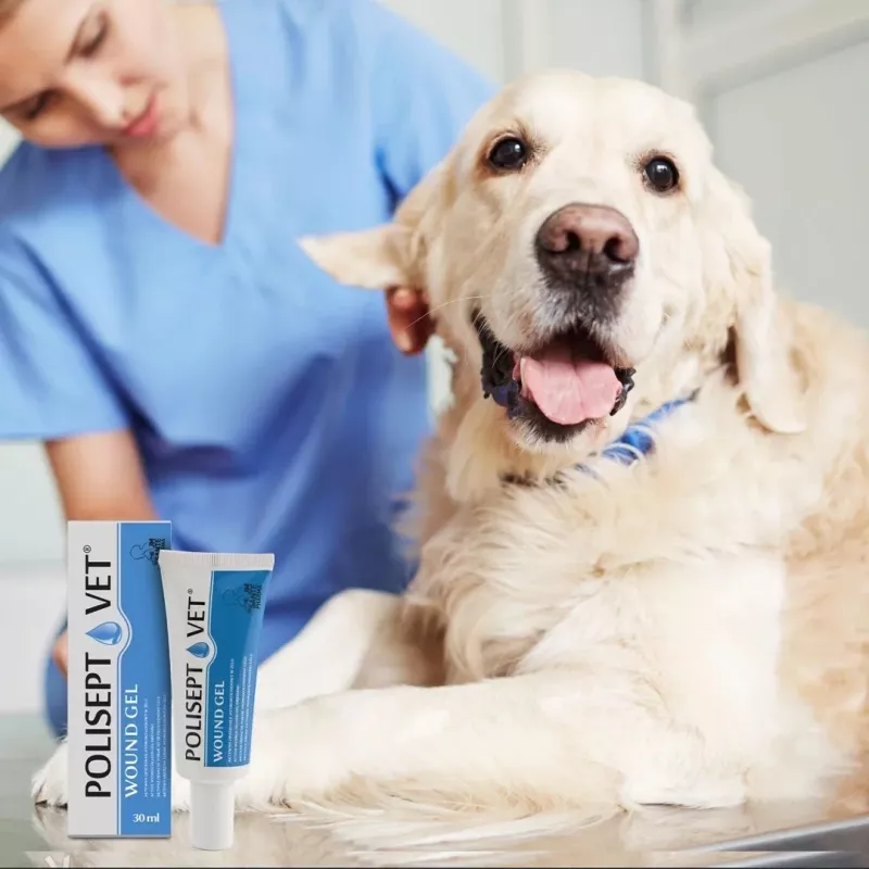 Gel para feridas JM Sante Polisept Vet 30 ml para cães e gatos, bisnaga 30 ml, 50 g