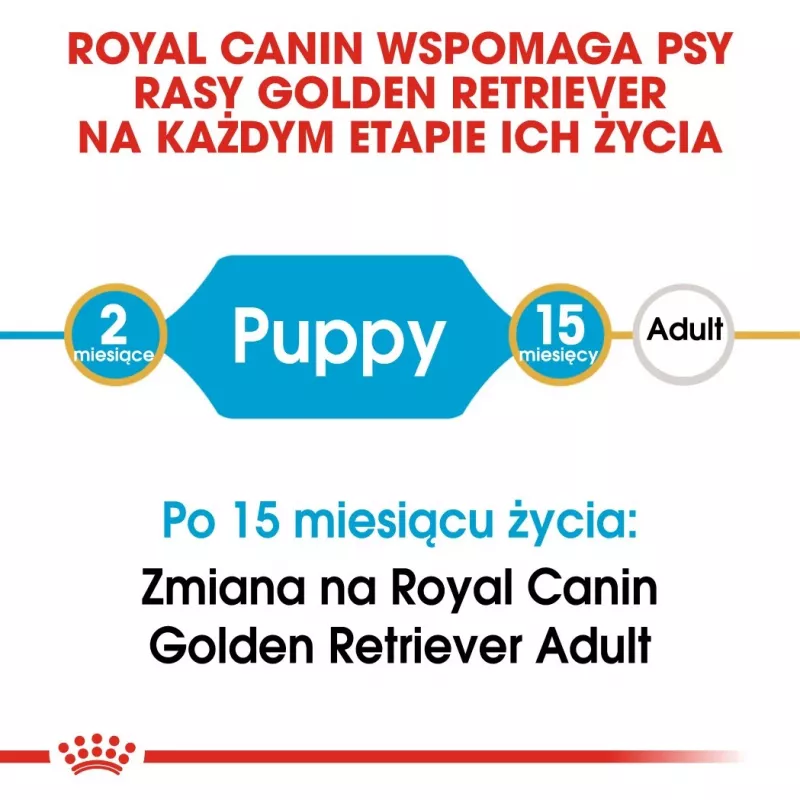 Royal Canin Golden Retriever Puppy ração seca para cães, 12 kg