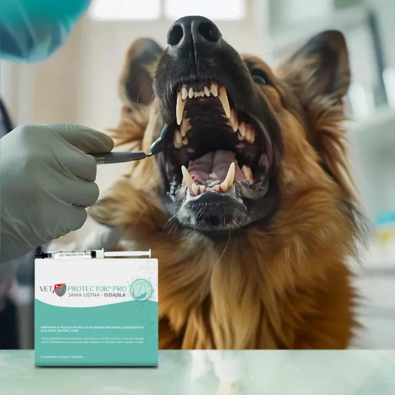 Gel de higiene oral JM Sante Vet Protector — para boca e gengivas, higiene oral veterinária