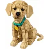 LEGO ICONS 11384 Cachorro Golden Retriever