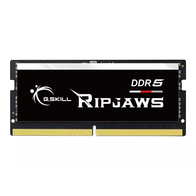 Módulo de memória G.Skill Ripjaws F5-4800S4039A16GX1-RS 16 GB 1 x 16 GB DDR5 4800 MHz