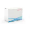 Rolo de transferência Xerox, WorkCentre 7525/7530/7535/7545/7556, 1 unid.