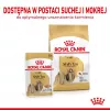 ROYAL CANIN Shih Tzu Adult comida húmida para cães patê 12x85 g