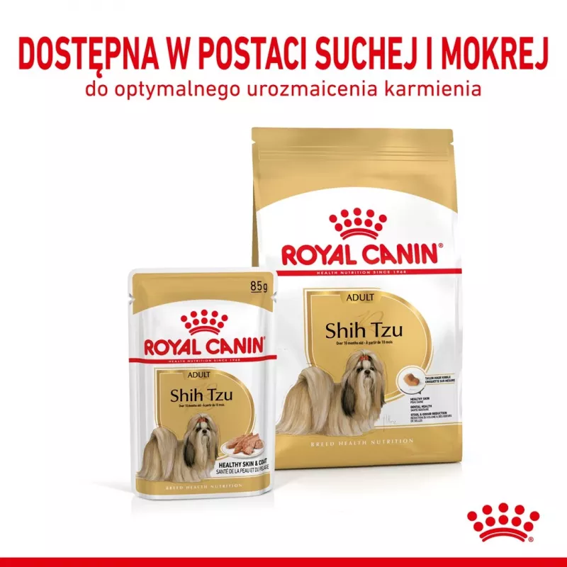 ROYAL CANIN Shih Tzu Adult comida húmida para cães patê 12x85 g