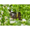 Gardena 13312-20 produto 2 L preto