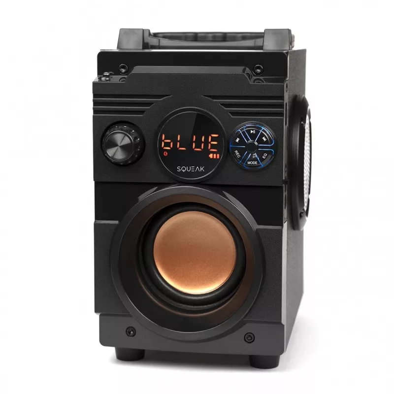 Altifalante Bluetooth 5.1 Squeak Bassblaster, rádio FM, leitor MP3 SQ1001