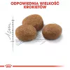 ROYAL CANIN Sterilised 7+ - Ração seca para gatos - 10 kg