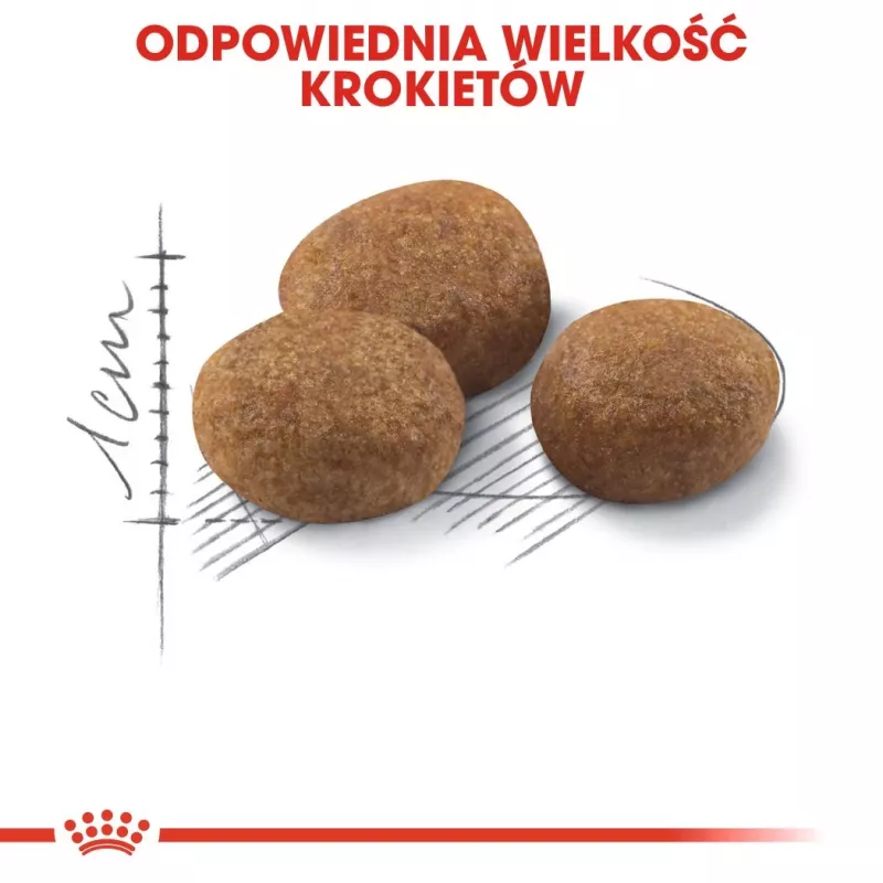 ROYAL CANIN Sterilised 7+ - Ração seca para gatos - 10 kg