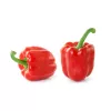 PNOS mistura de sementes de pimento doce, 0,6 g