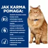HILL'S PD K/D Kidney + Mobility frango - alimento seco para gatos - 3 kg