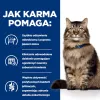HILL'S PD Gastrointestinal Biome - alimento seco para gatos - 1,5 kg