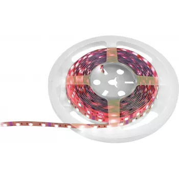 Fita LED EUROLITE 50530136, 5 m, 5050 SMD RGB, 12 V