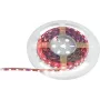 Fita LED EUROLITE 50530136, 5 m, 5050 SMD RGB, 12 V