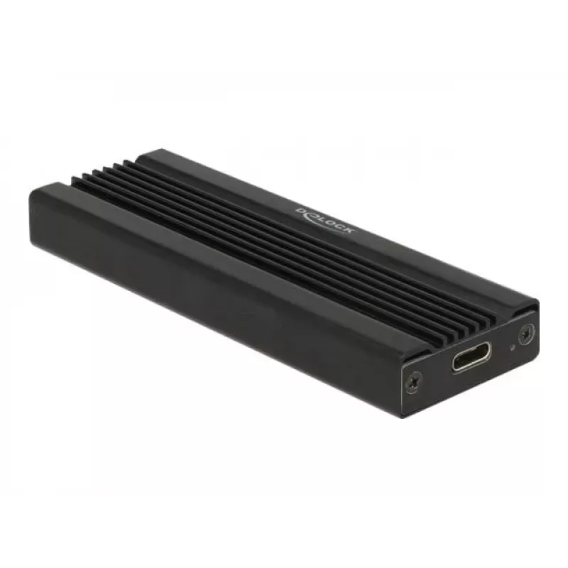 Placa de interface DeLOCK 42600 USB 3.2 Gen 1