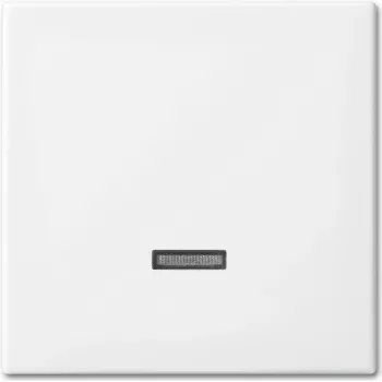 Busch-Jaeger 6543-914-102 placa de cobertura para suporte e caixa de sensor branco (2CKA006599A3018)