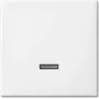 Busch-Jaeger 6543-914-102 placa de cobertura para suporte e caixa de sensor branco (2CKA006599A3018)