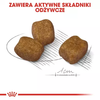 Comida seca para cães Royal Canin Mini Dental Care 3 kg — raças pequenas adultas, aves, cuidado dentário