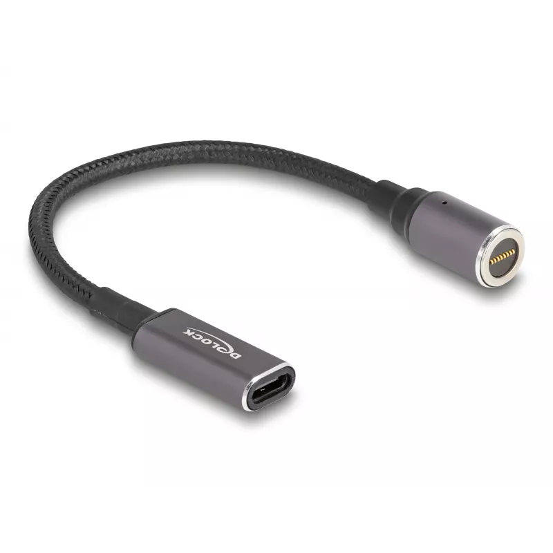 Cabo de alimentação DeLOCK 80781 0,15 m USB-C 8 pinos 20 V
