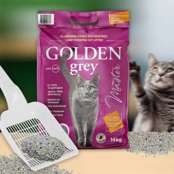 GOLDEN cinzento Master - areia para gatos de bentonite - 7kg