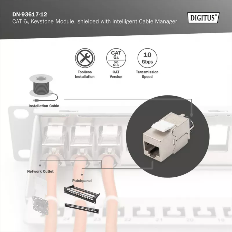 Digitus Módulo Keystone Cat.6A blindado com gestor de cabos inteligente, 12 pcs., prateado