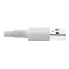 Eaton Tripp Lite Series cabo de sincronização/carregamento USB-A para Lightning (M/M) - certificado MFi, branco, 3 ft. (0,9 m) - cabo de dados/alimentação - USB macho para Lightnin