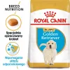 Royal Canin Golden Retriever Puppy ração seca para cães, 12 kg
