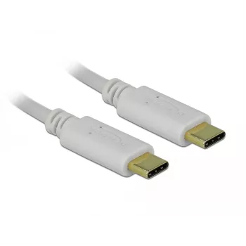 Delock - Cabo USB-C/alimentação - conector macho USB-C de 24 pinos para conector macho USB-C de 24 pinos - 5 A - 15 cm - USB Power Delivery (100 W), suporta Power Delivery 2.0 - branco (85357)