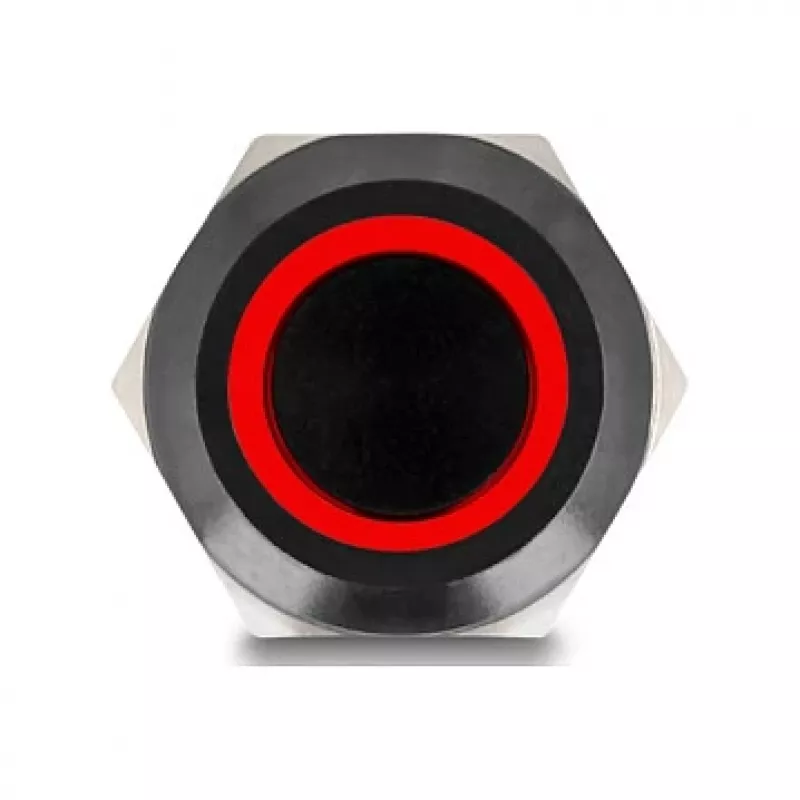 Interruptor de pressão DELOCK 22014, 12 mm, 12 V