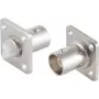Adaptador de vídeo/áudio BNC ShiverPeaks 98808-1 montagem por flange